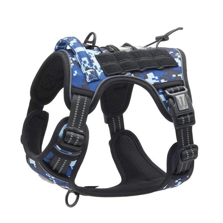 outdoor training reflective pet