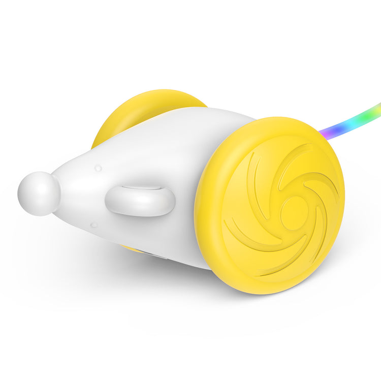 Interactive Toy For Cats Simulation