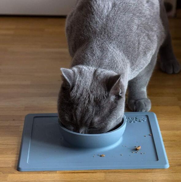 Silicone Pet Supplies Strong Suction
