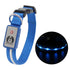 pet waterproof LED charging collar