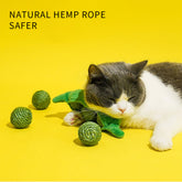 3PCS Cat Toy Balls Interactive Pet Play