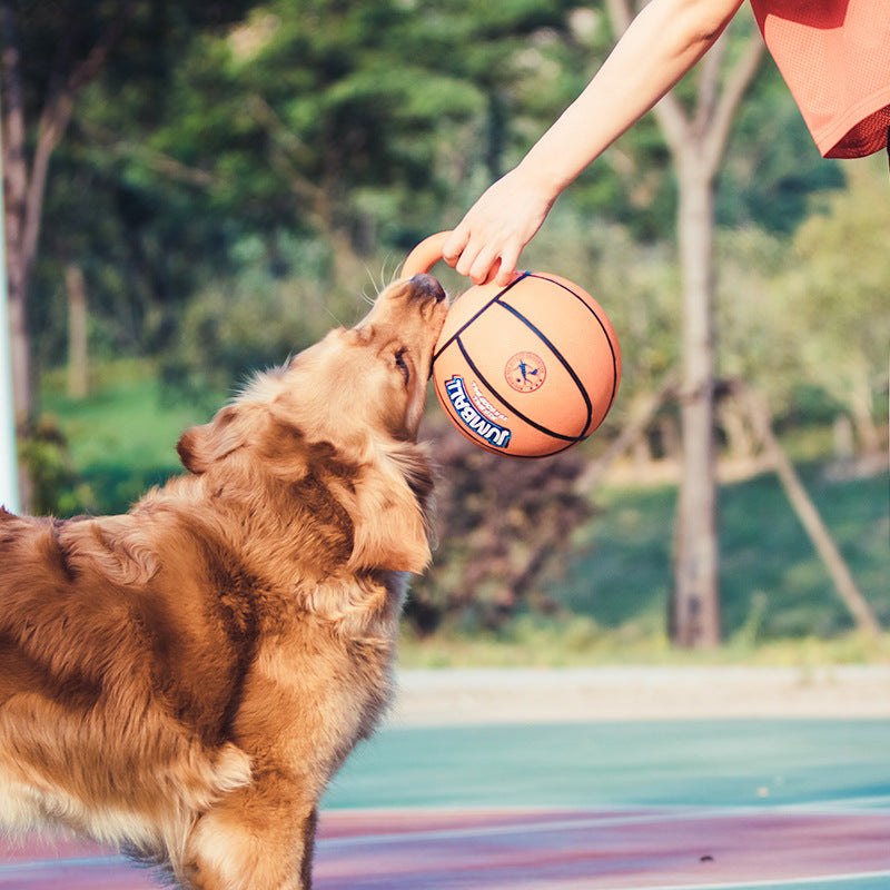 Jianbao Ball Dog Toy Bite Resistant