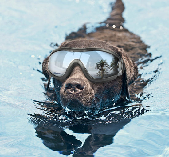 waterproof windproof UV protective