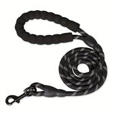 dogs leash running elasticity hands