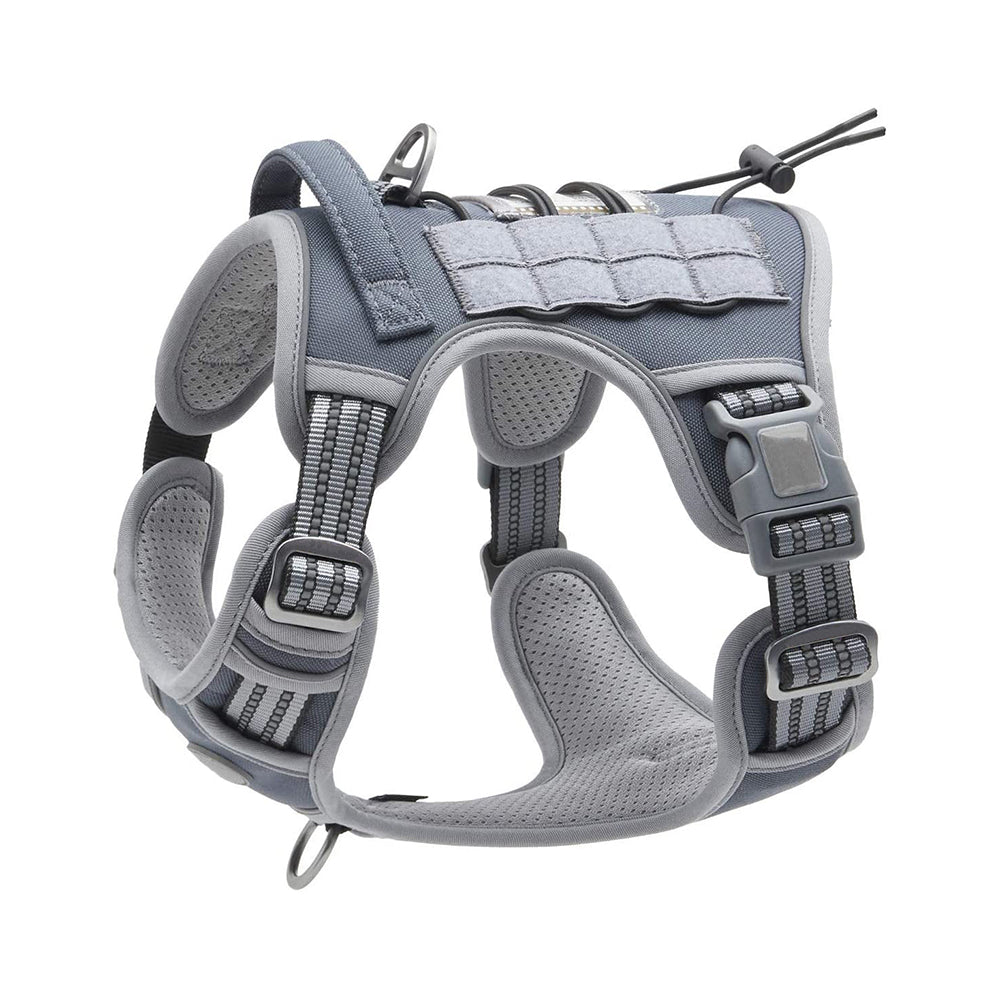 outdoor training reflective pet 