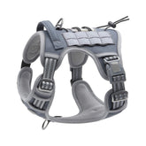 outdoor training reflective pet 