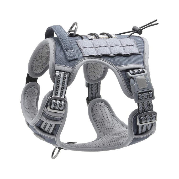 outdoor training reflective pet 