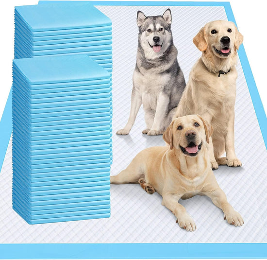 XXXXL Heavy Absorbency Disposable