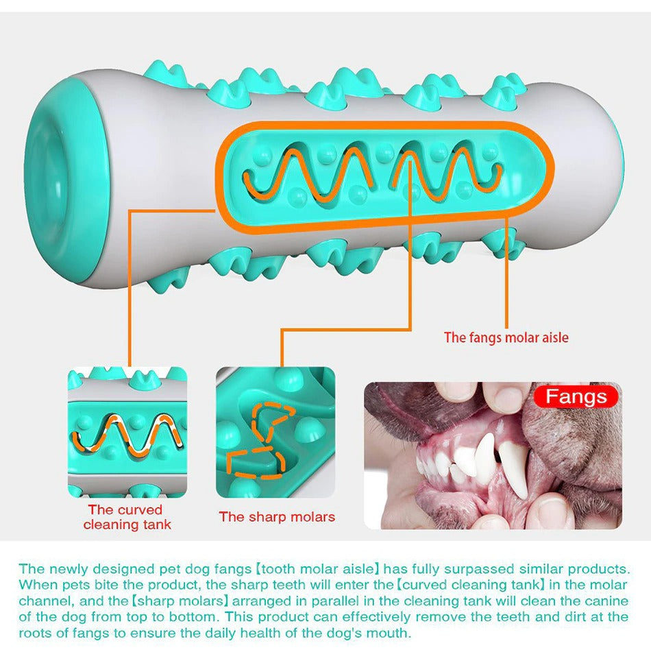 Dog Squeaky Toys For Aggressive Chewers