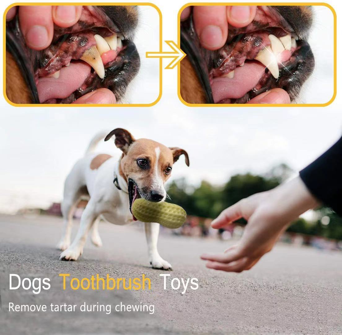 Funny Pet Dog Squeaky Toys For Small 