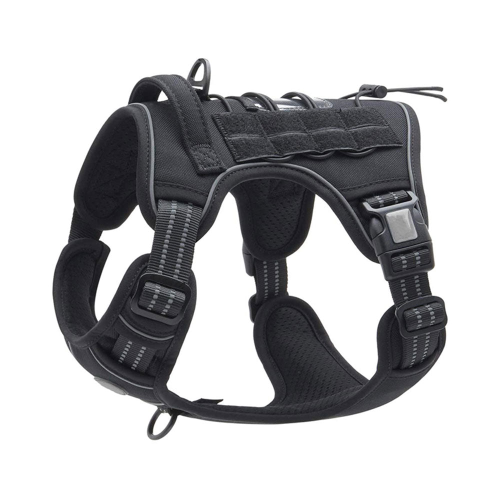 outdoor training reflective pet 