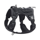 outdoor training reflective pet 