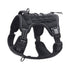 outdoor training reflective pet 