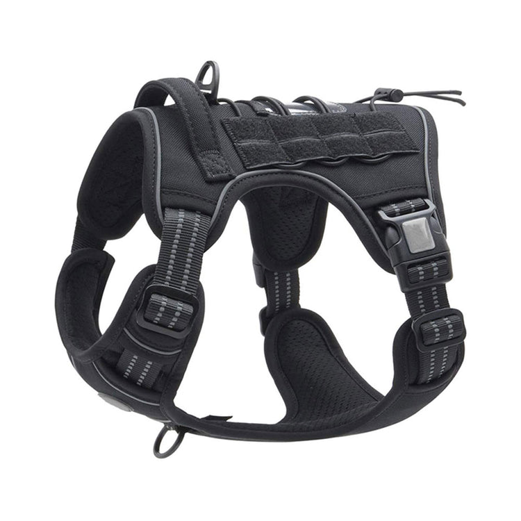 outdoor training reflective pet 