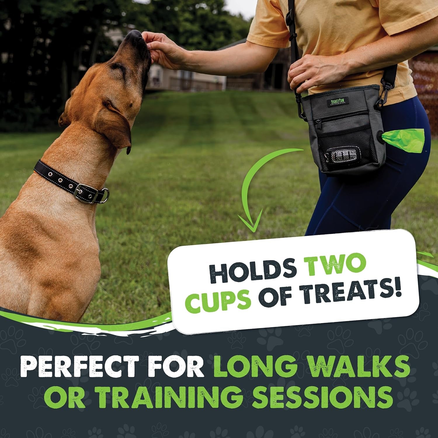 Dog Treat Pouch 2.0 Hands Free Pet