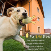 Funny Pet Dog Squeaky Toys For Small 