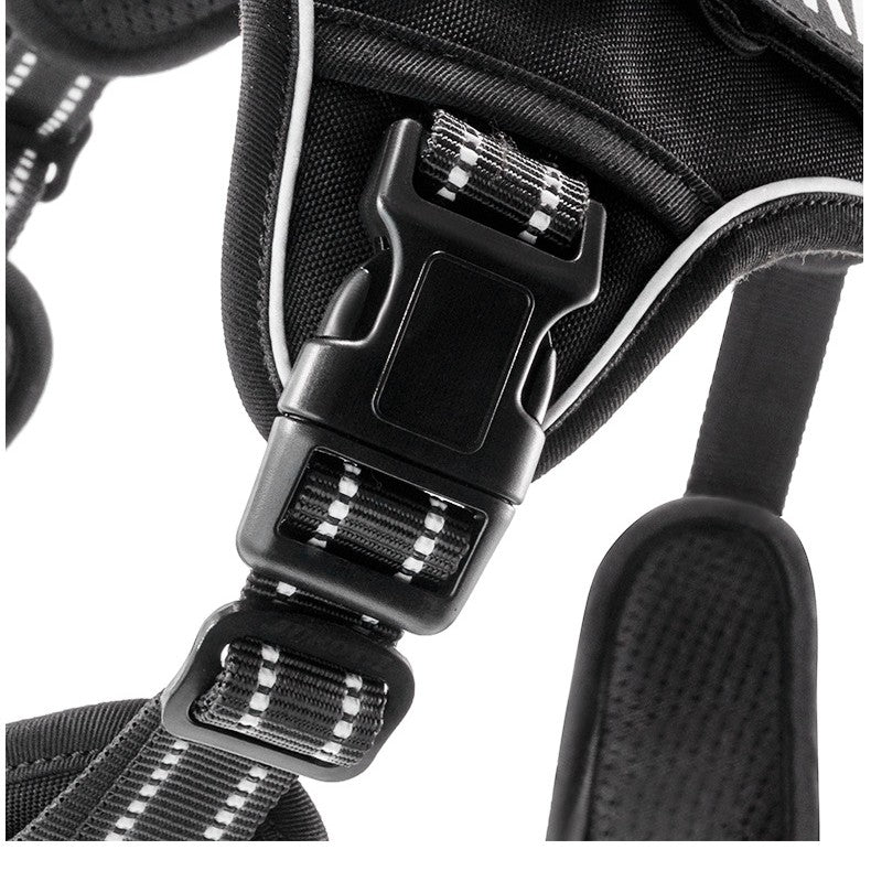 outdoor training reflective pet 