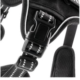 outdoor training reflective pet 