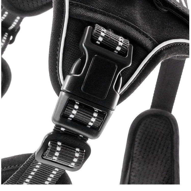 outdoor training reflective pet 
