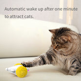 Interactive Toy For Cats Simulation
