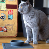 Silicone Pet Supplies Strong Suction