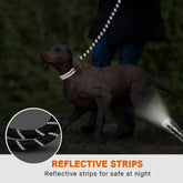 dogs leash running elasticity hands