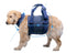 pet dog leash strong durable walking 