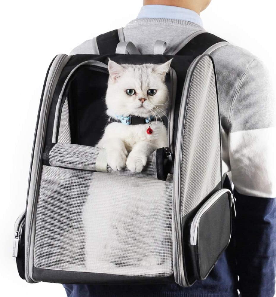 Innovative Traveler Bubble Backpack