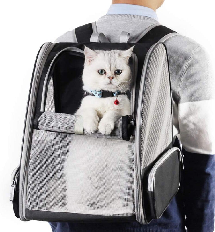 Innovative Traveler Bubble Backpack