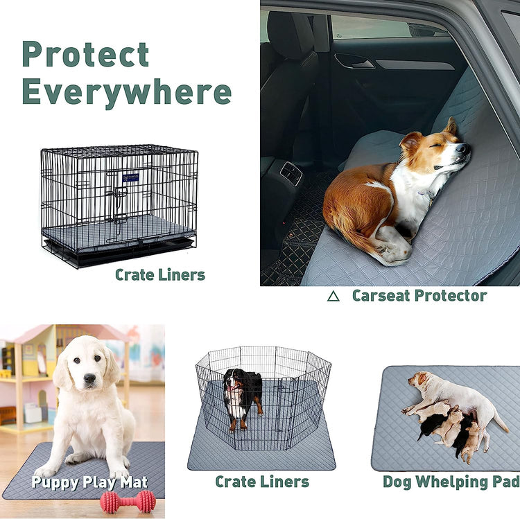 Reusable Washable Pee Pads for Dogs