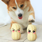Funny Pet Dog Squeaky Toys For Small 