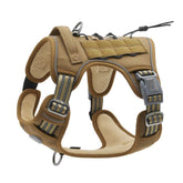 outdoor training reflective pet 