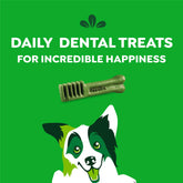 Canine Dental Chews Original Regular