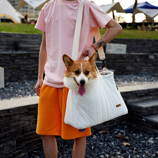Pet Dog Bag Cat Portable Messenger