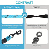 dogs leash running elasticity hands