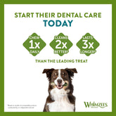 stix dental dog treats value bag small