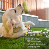 Funny Pet Dog Squeaky Toys For Small 
