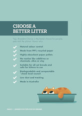 99 Percent Recycled Paper Cat Litter