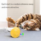 Interactive Toy For Cats Simulation