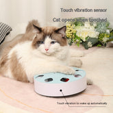 Cat Teaser Toy Relieving Stuffy Artifact