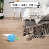 Interactive Toy For Cats Simulation