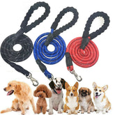 dogs leash running elasticity hands