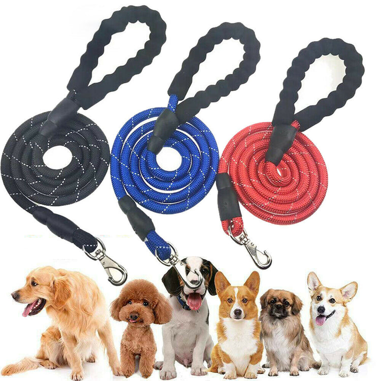 dogs leash running elasticity hands