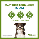 Variety Value Box Dental Dog Treats