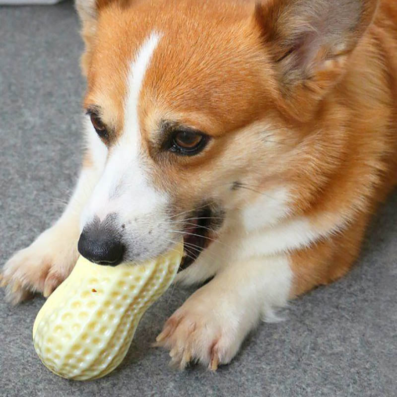 Funny Pet Dog Squeaky Toys For Small 