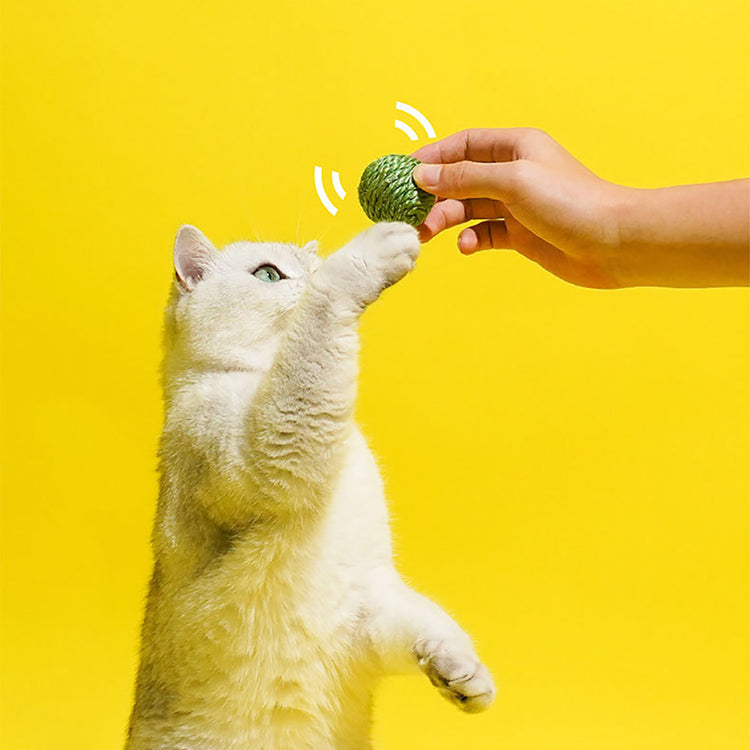 3PCS Cat Toy Balls Interactive Pet Play