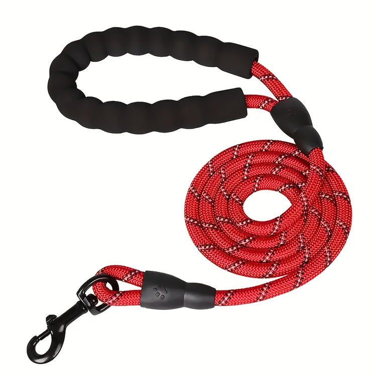 dogs leash running elasticity hands