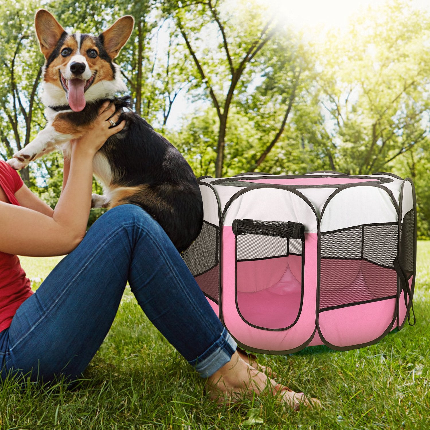 portable foldable pet tent exercise