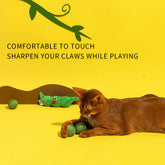 3PCS Cat Toy Balls Interactive Pet Play