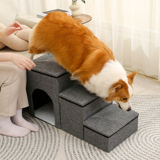 pet ladder dogs and cats step foldable